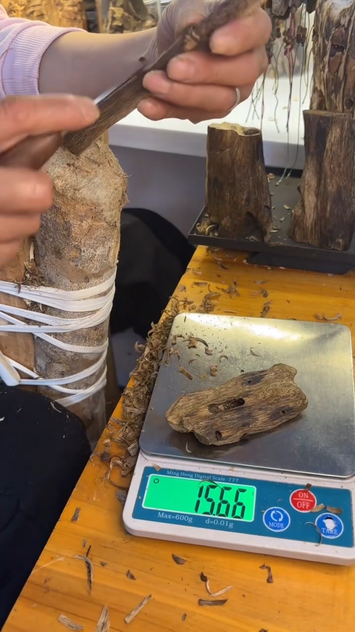 沉香沉香碎屑陆河品种15.6克