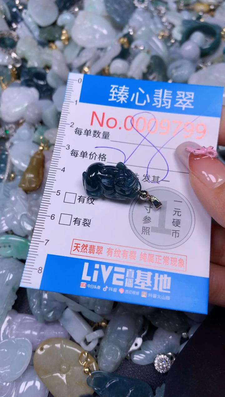 【闪购商品】翡翠颈饰未镶嵌含绳000