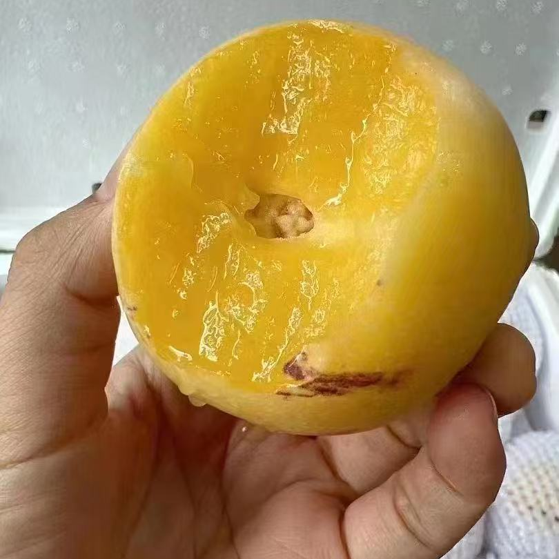 AA级特大-云南人参果约2斤