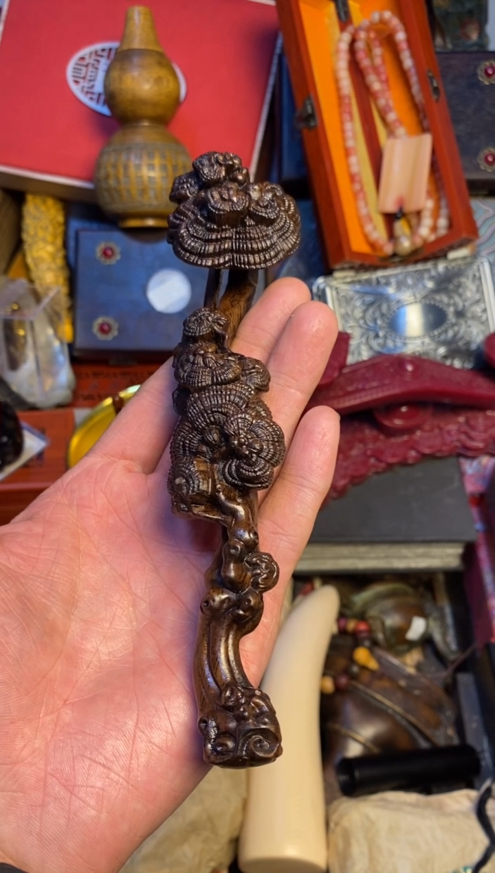 【闪购商品】主播推荐主播推荐