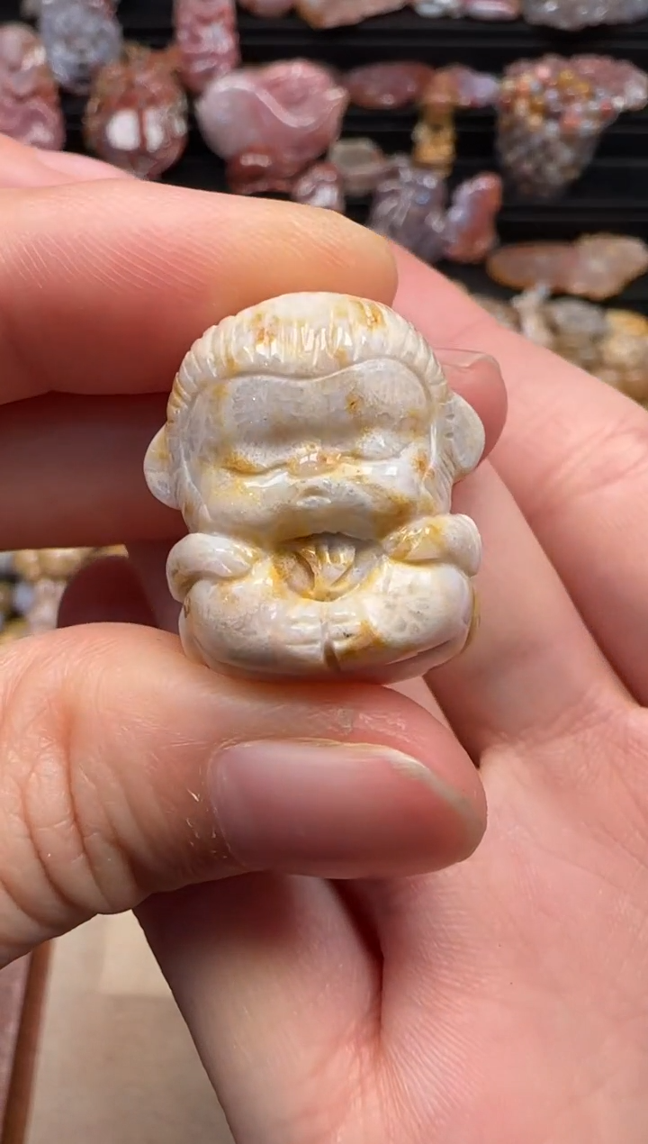 【闪购商品】硅化珊瑚（珊瑚玉）颈饰未镶嵌225