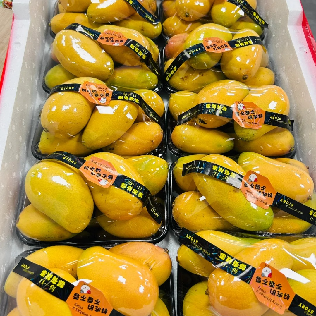 【市场直发】海南小台芒一盒装