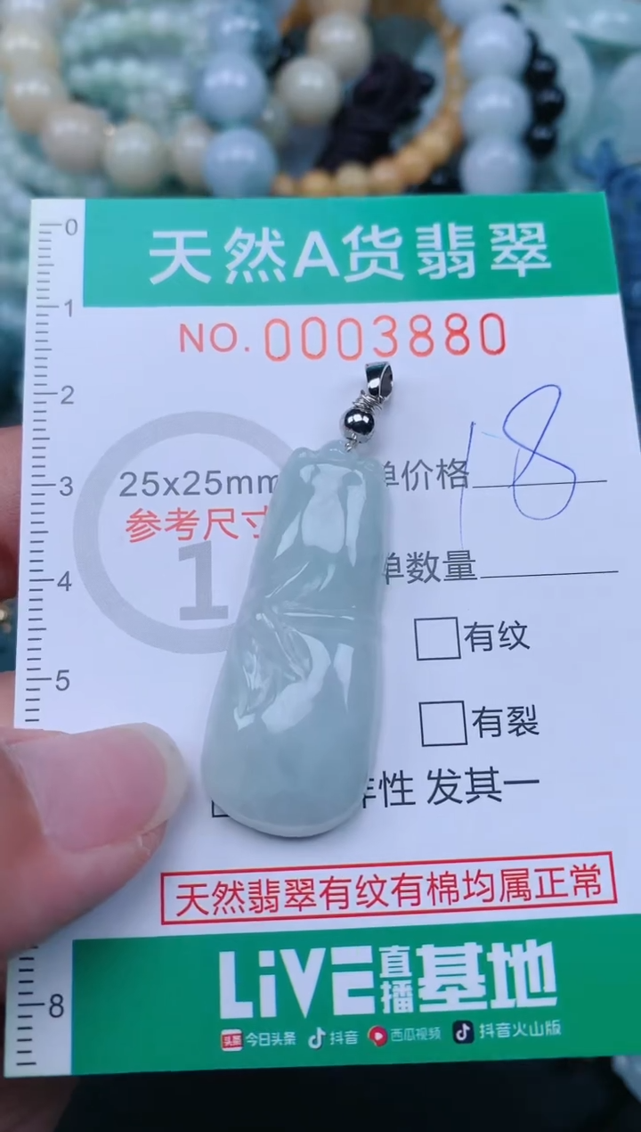 翡翠未镶嵌颈饰.0003880