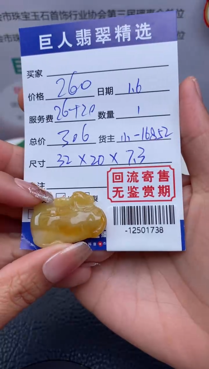 【闪购商品】翡翠颈饰未镶嵌多人-12501738