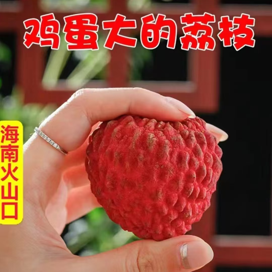 【精品果】海南火山口空运头茬荔枝王 整箱发货 甘甜多汁 京东顺丰包邮g荔枝同城送新鲜