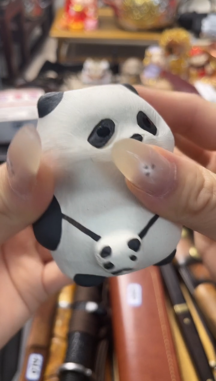 6666666666666666666666茶宠