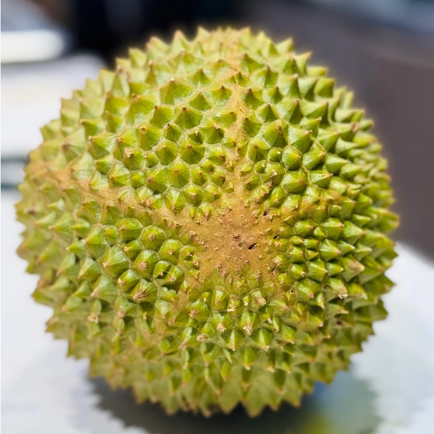 【西安同城小时达】鲜果猫山王鲜榴莲核大/斤 一物一拍（非质量问题不同意无理由售后）猫山王陕西省