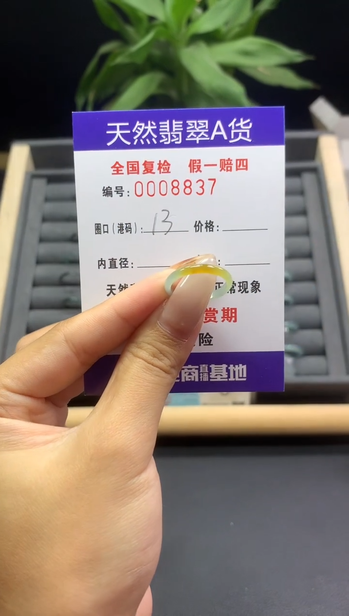 未镶嵌戒指翡翠天然  8837