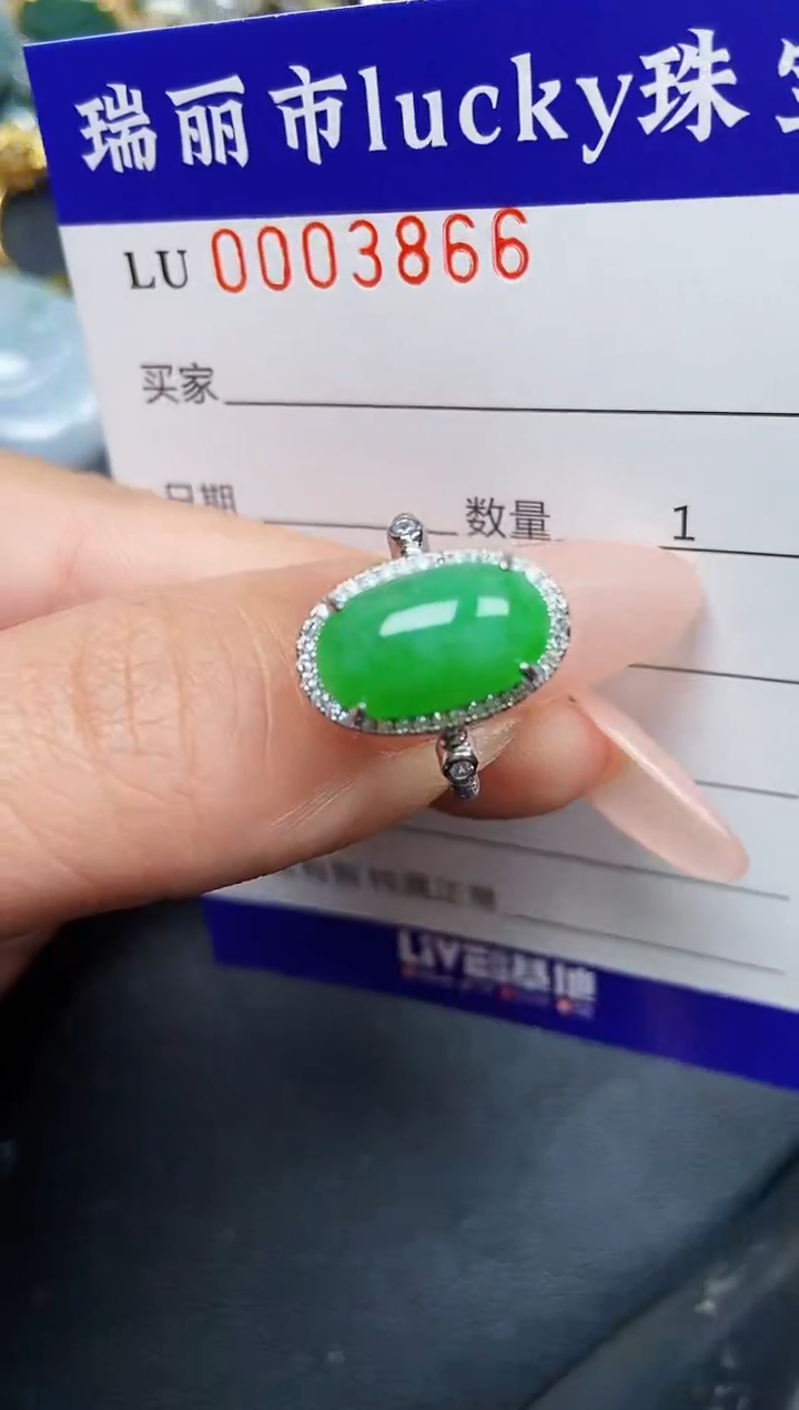 【闪购商品】翡翠颈饰银S925镶嵌3866