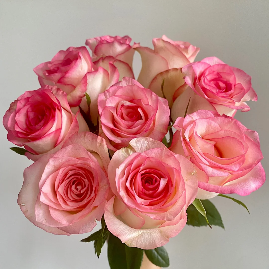 【30支玫瑰套餐】【艾莎+香槟+红玫瑰】鲜花【0度以下请拍保温棉】