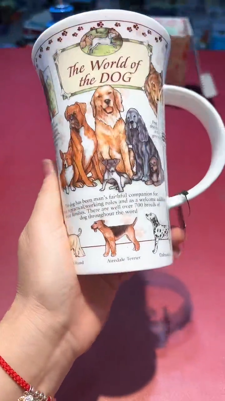 【闪购商品】瓷片锅碗瓢盆一件不剩