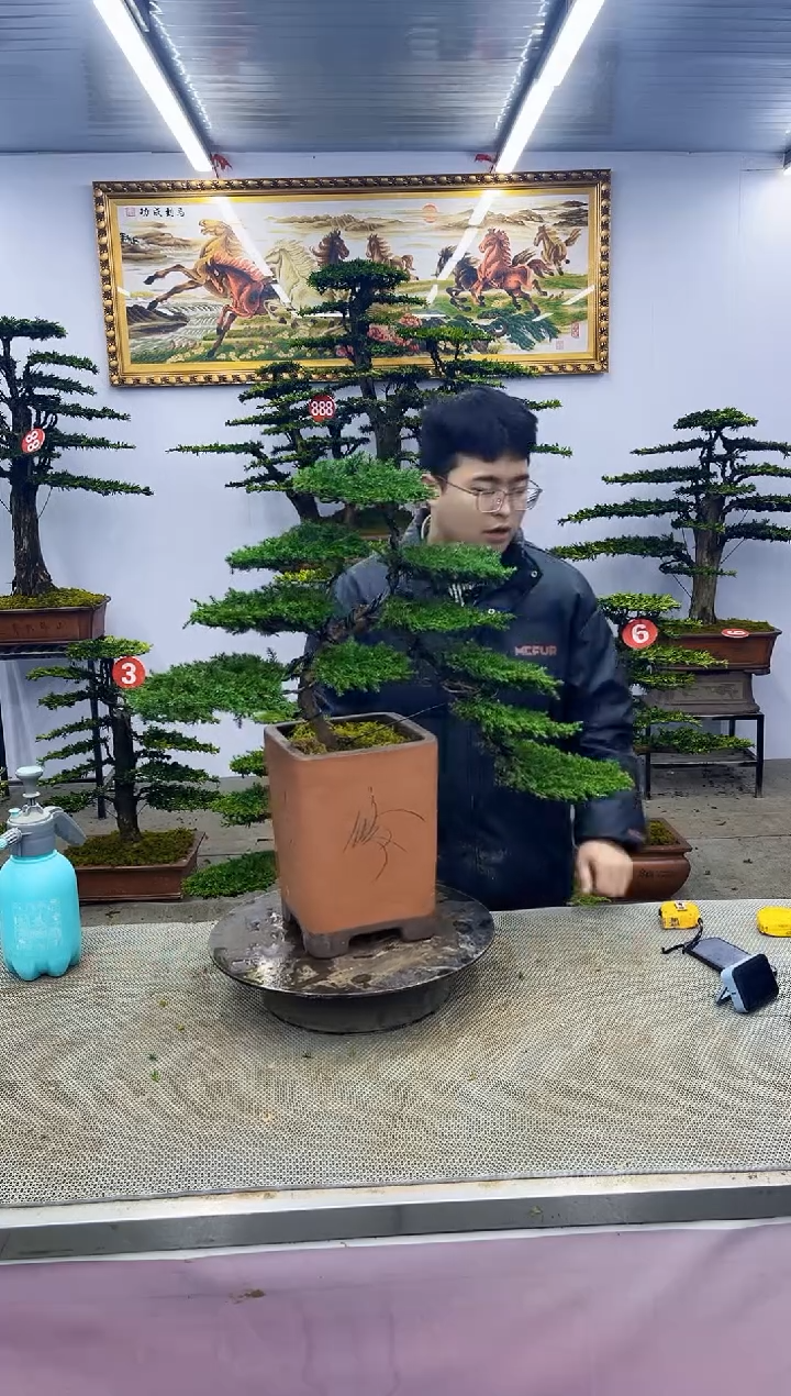 【闪购商品】啊撒啊啊