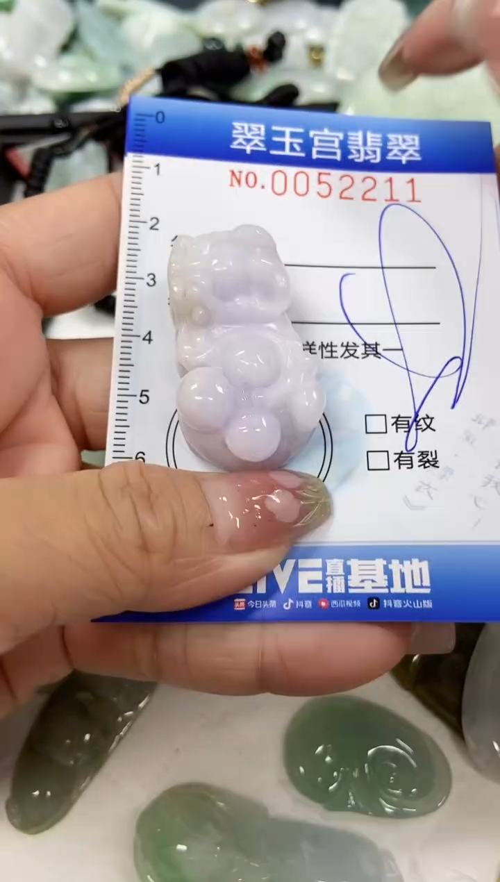 【闪购商品】翡翠颈饰未镶嵌闪购0052211