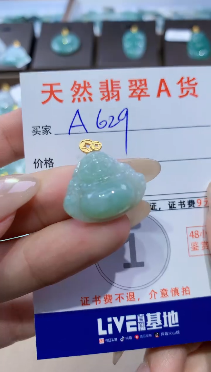 颈饰未镶嵌翡翠天然缅甸翡翠A货挂件 