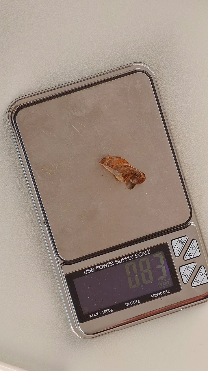 【闪购商品】沉香手把件伊利安料0.83g