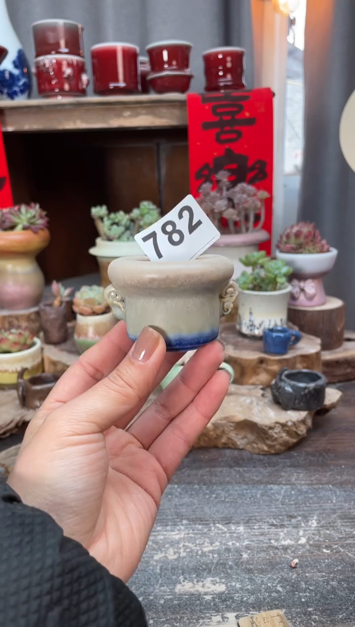 【闪购商品】摆件782知木小芳花盆