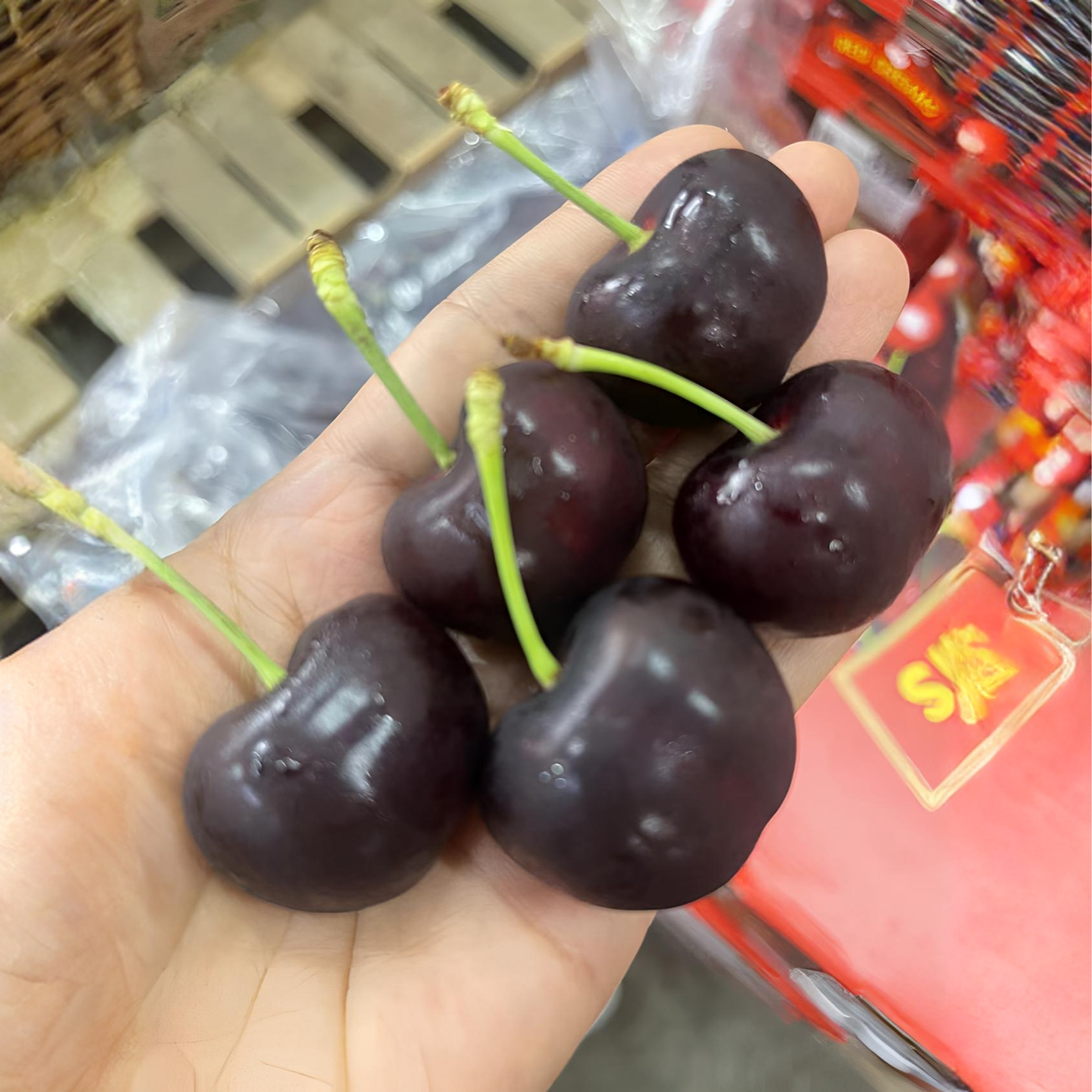 {南宁小时达｝4J智利海运车厘子桑提娜原装整箱5斤装桑提娜智利