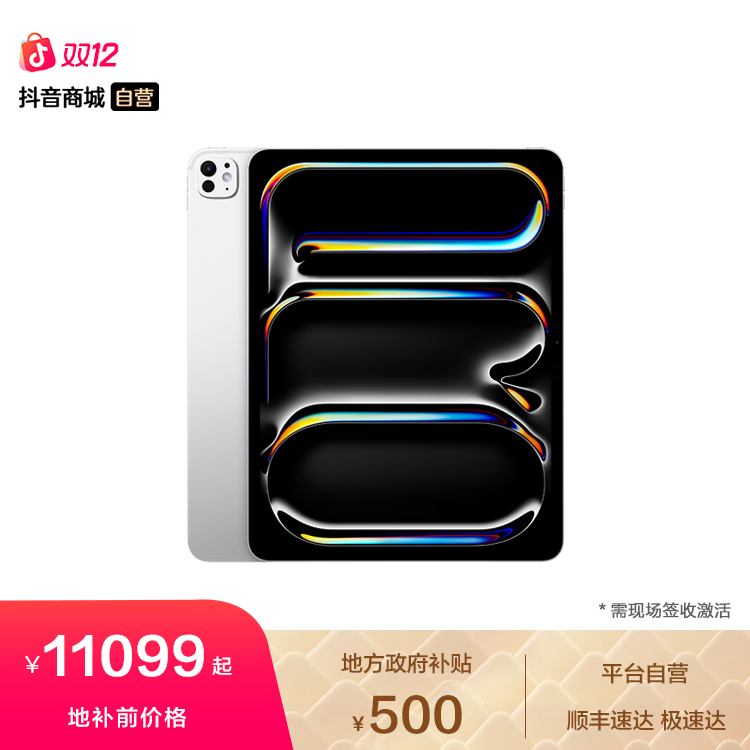 【地方政府补贴】Apple iPad Pro 13英寸 M4 芯片 WLAN版 2024款