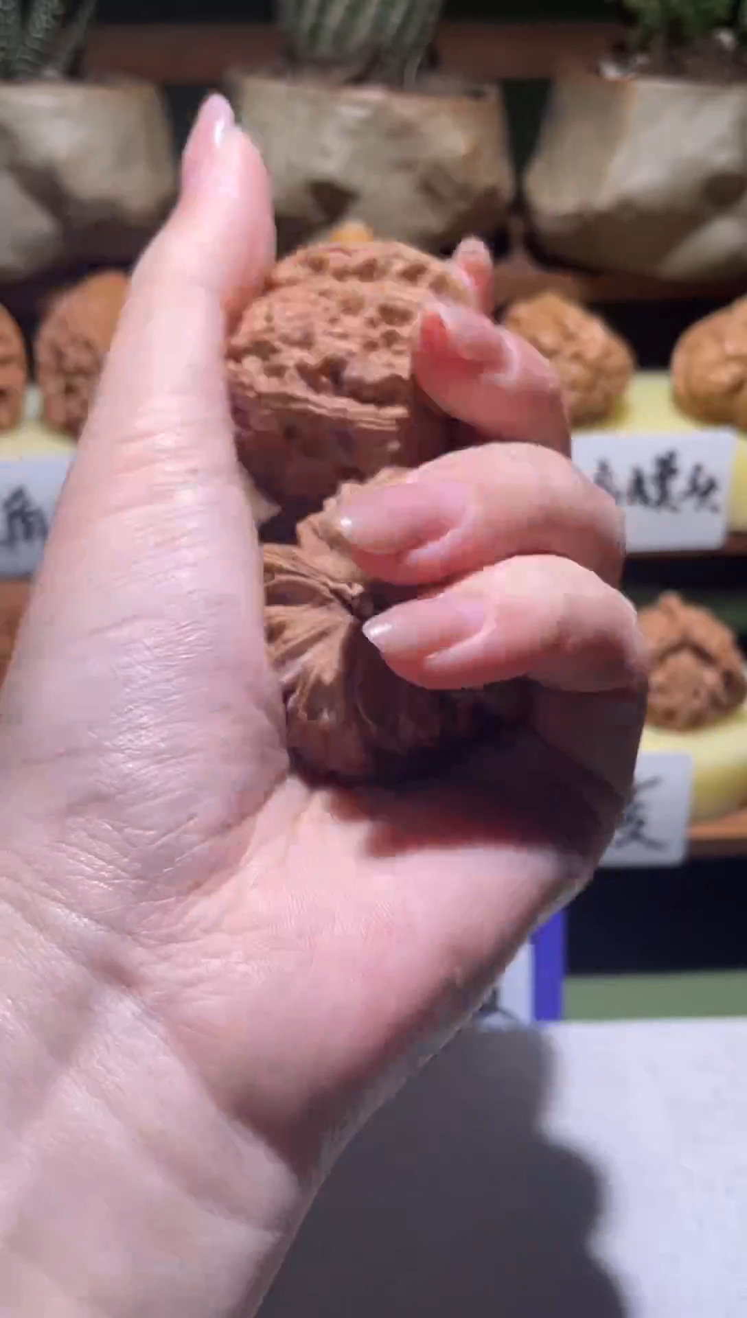 把件文玩核桃～*～原生态白狮子