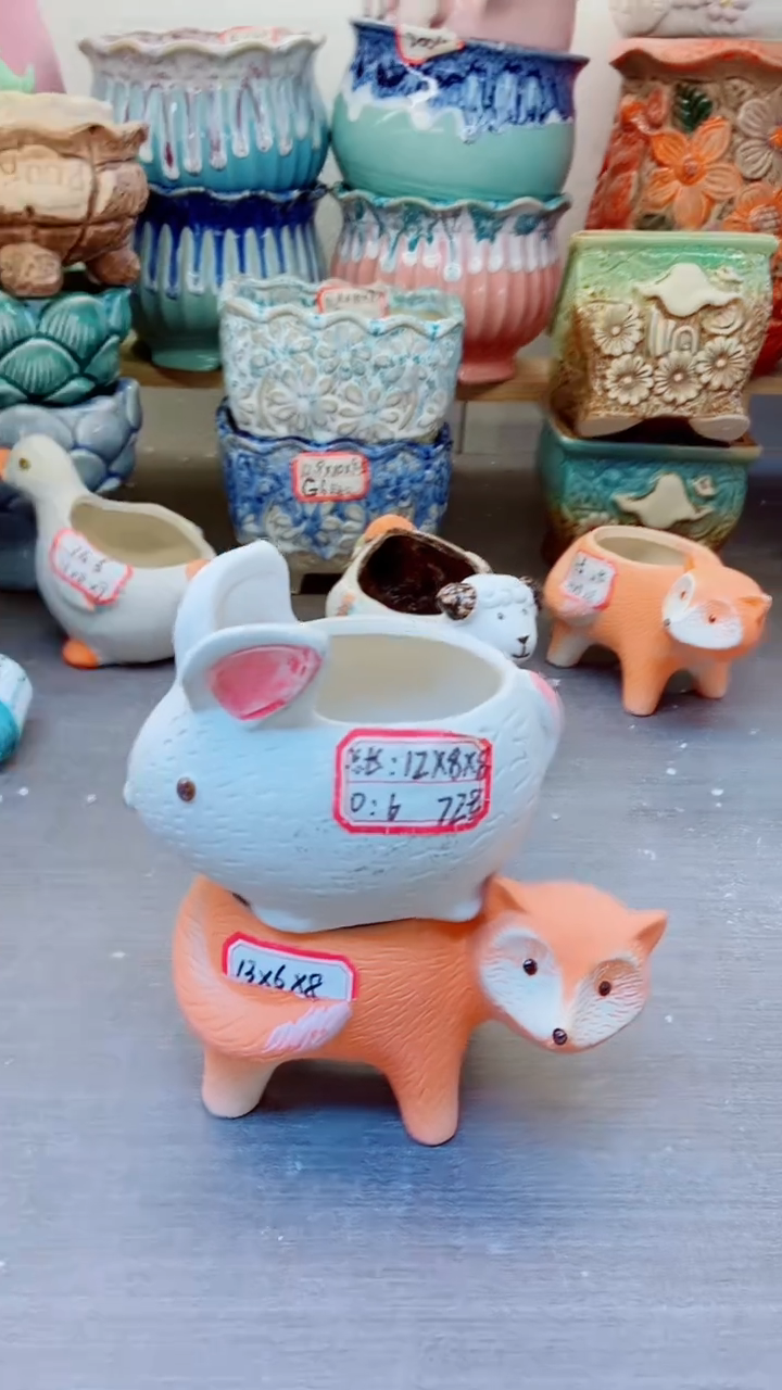 【闪购商品】陶瓷@@72+73