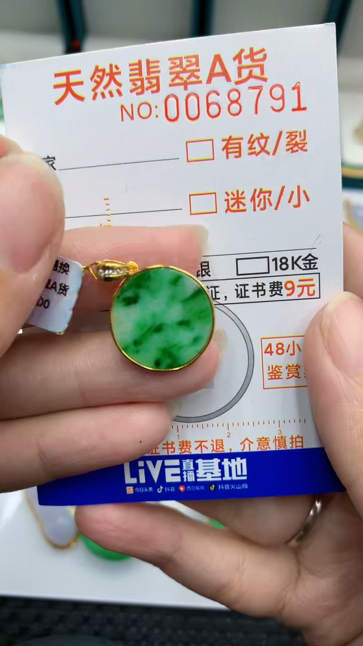 【闪购商品】翡翠颈饰银S925镶嵌            8