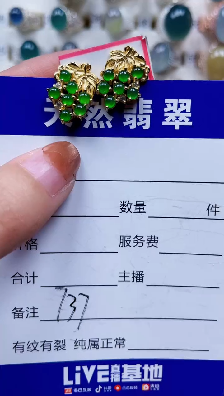 银S925镶嵌翡翠耳饰737