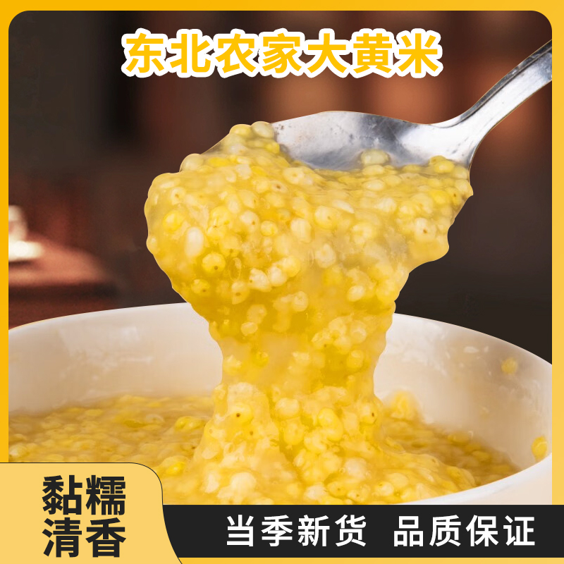 2025年秋收大黄米黏黄米包粽子