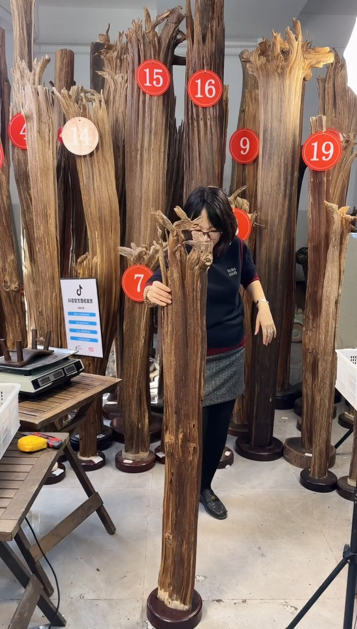 【闪购商品】沉香摆件 沉香摆件多样性发一件12