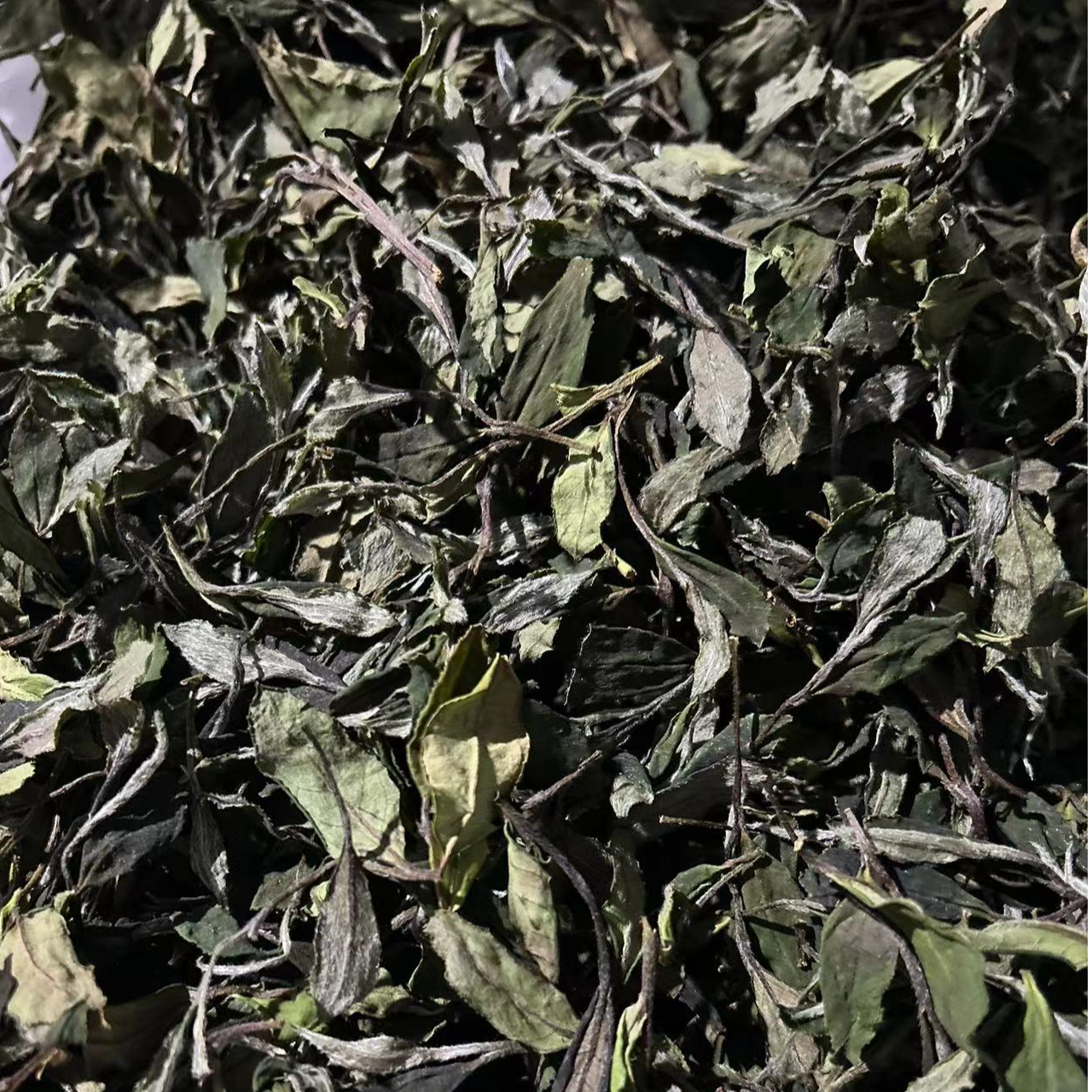 2025年抛荒毛蟹白传统工艺白牡丹-螃蟹腿