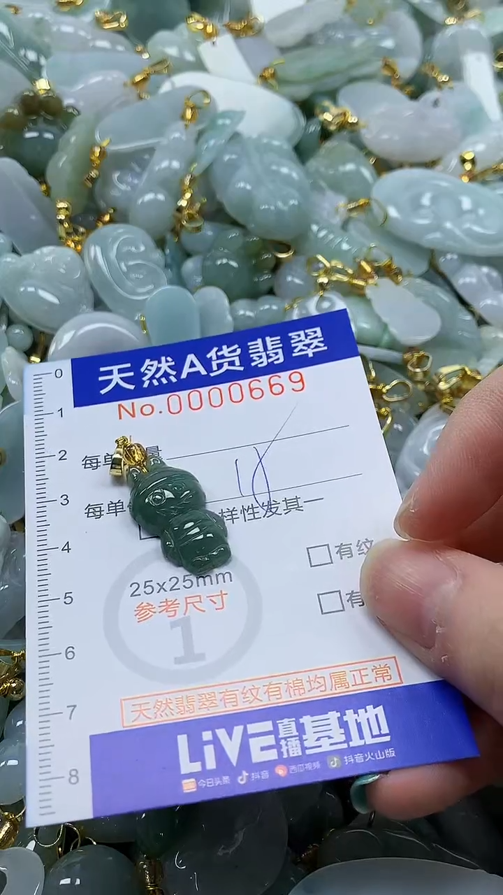 颈饰未镶嵌翡翠纯天然a货翡翠