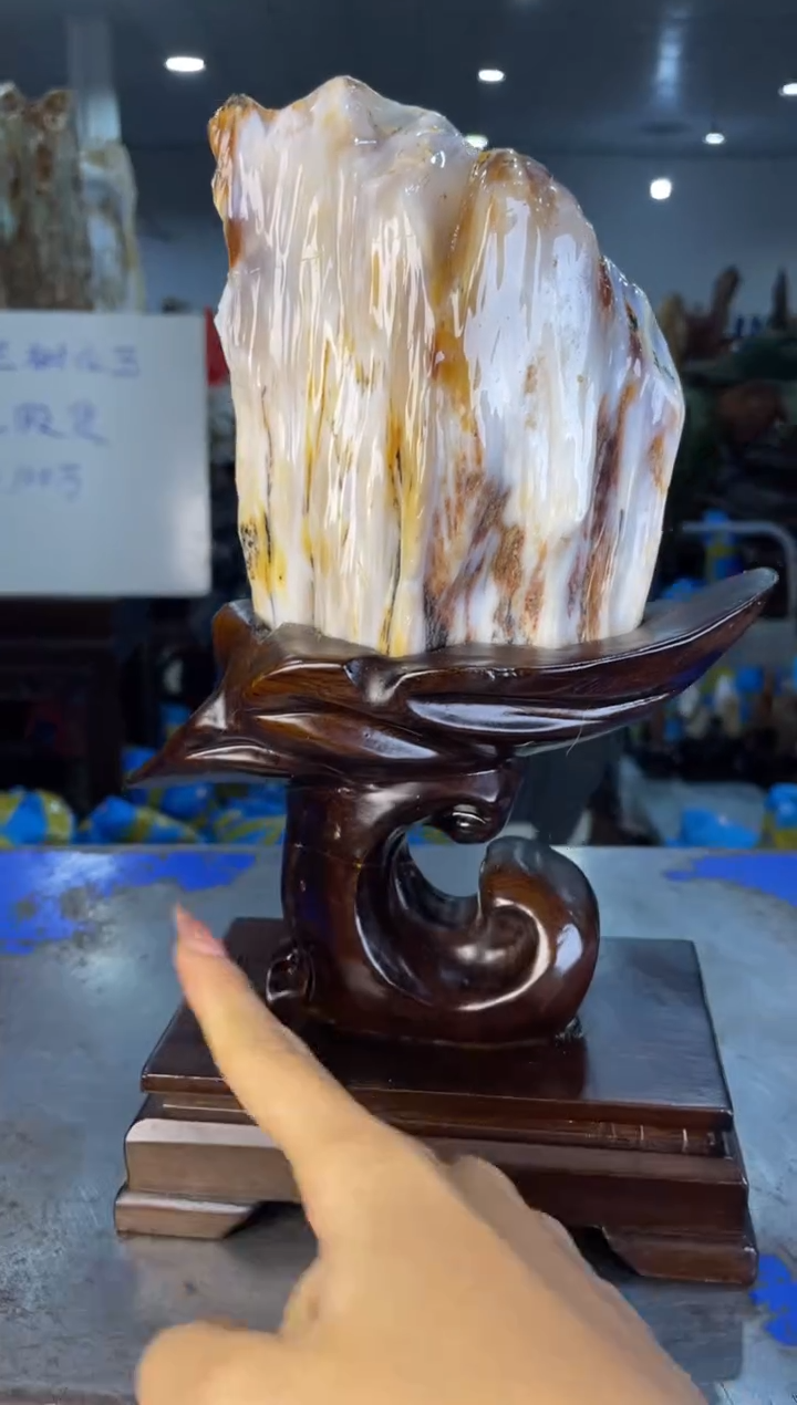 未镶嵌摆件硅化玉16