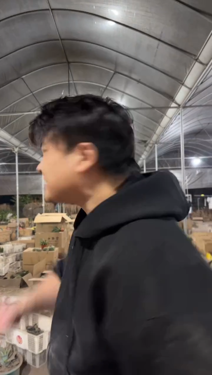 一框5颗【大小 3个品种不指定起】