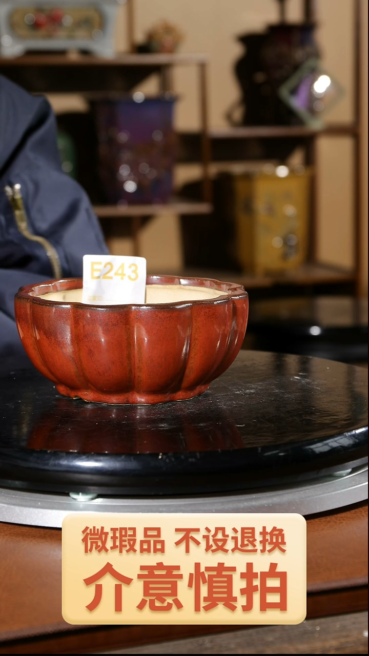 【闪购商品】红陶243