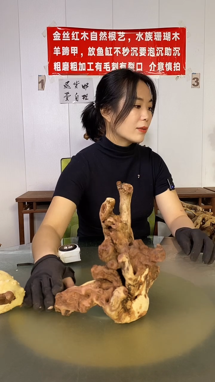 木五**摄金丝红木  羊蹄甲