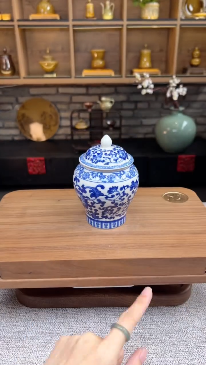 【闪购商品】无尽藏 专属福利单 VVV 