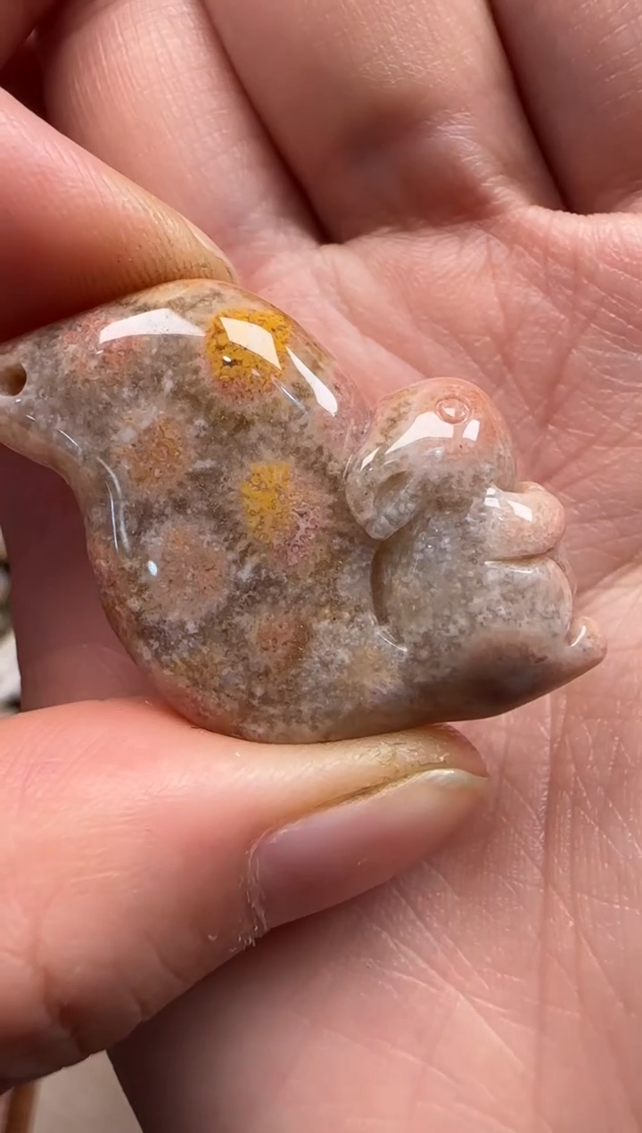 【闪购商品】硅化珊瑚（珊瑚玉）颈饰未镶嵌634