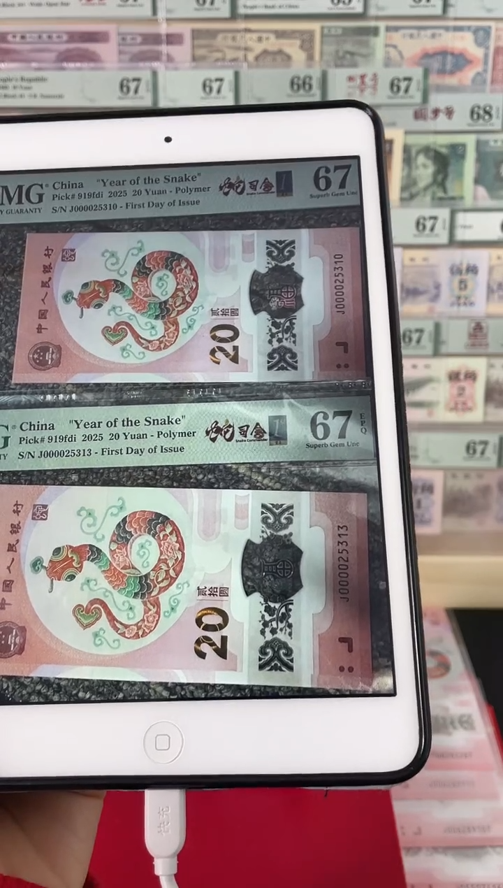 【闪购商品】蛇司令金兰首日标67分无47...