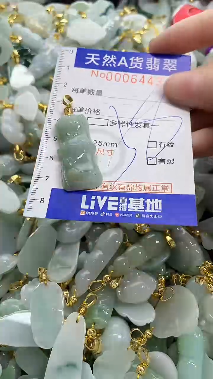 颈饰未镶嵌翡翠天然A货翡翠