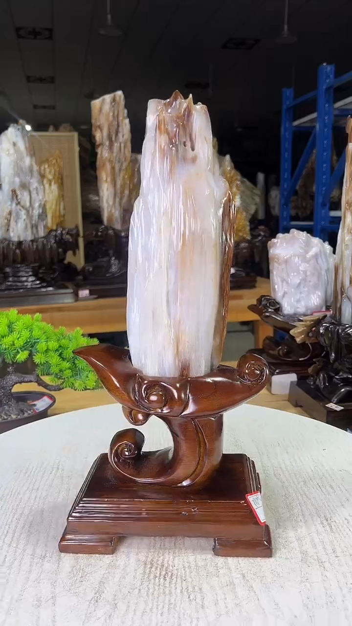 未镶嵌珠宝奇石硅化玉288
