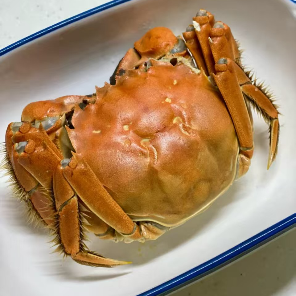 河蟹冷链新鲜到家二两母，三两公  2.5斤