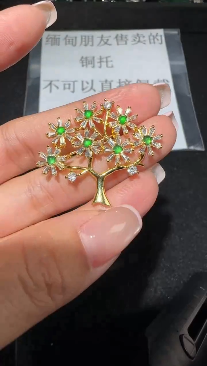 【闪购商品】翡翠胸饰未镶嵌4491多样性发货拍一发一