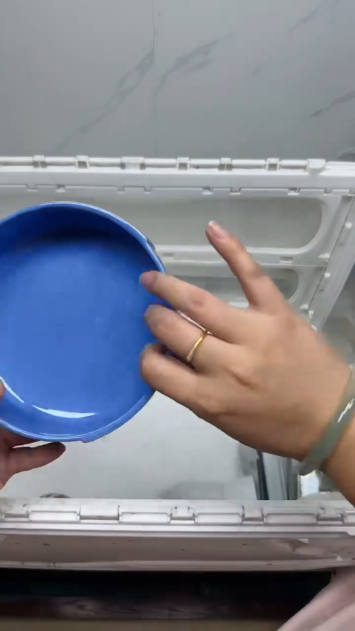 【闪购商品】2927回流瓷器默认微瑕，18.8包邮