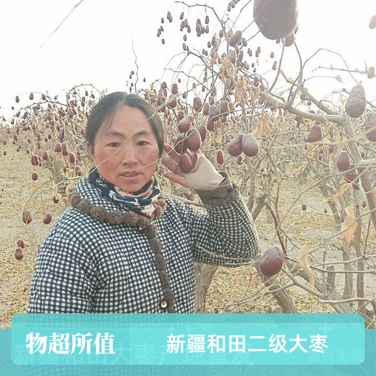 2025新疆和田小灰枣新人福利果一斤100粒左右