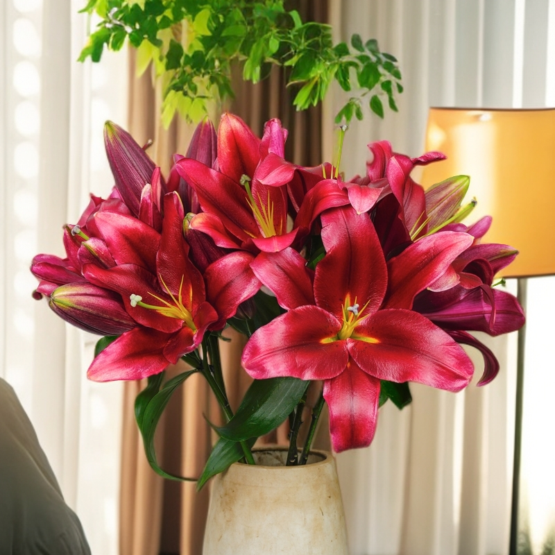 云南木木花卉永恒的爱 单瓣大花型香水百合 家居室内氛围感鲜花