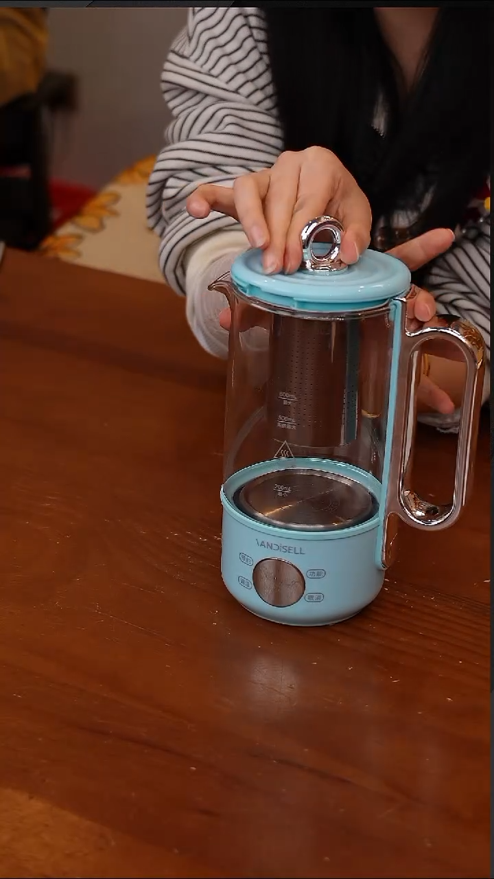 陶53-钛养生壶小型迷你煮茶壶600mL【CF5448】