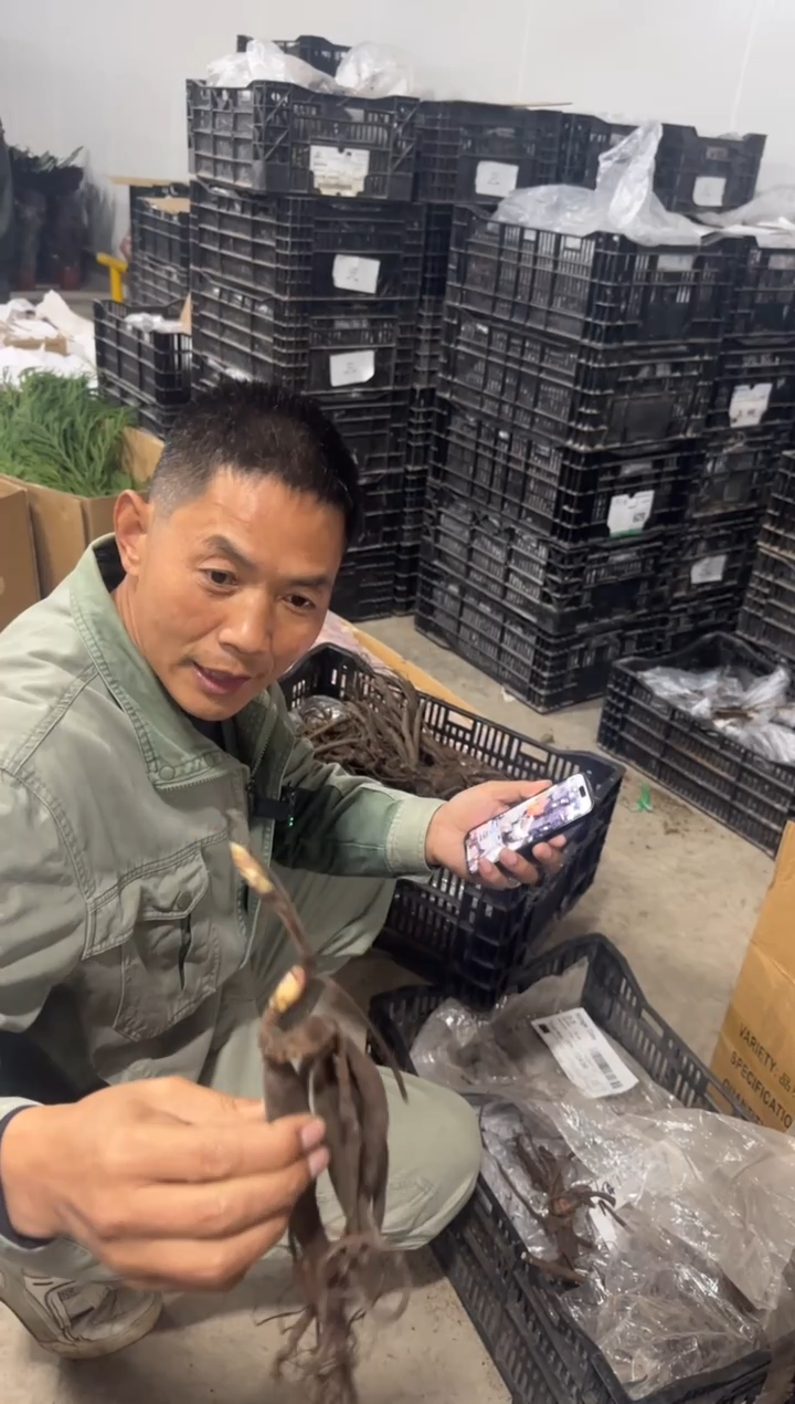 盐****司98   盐城  火烈鸟