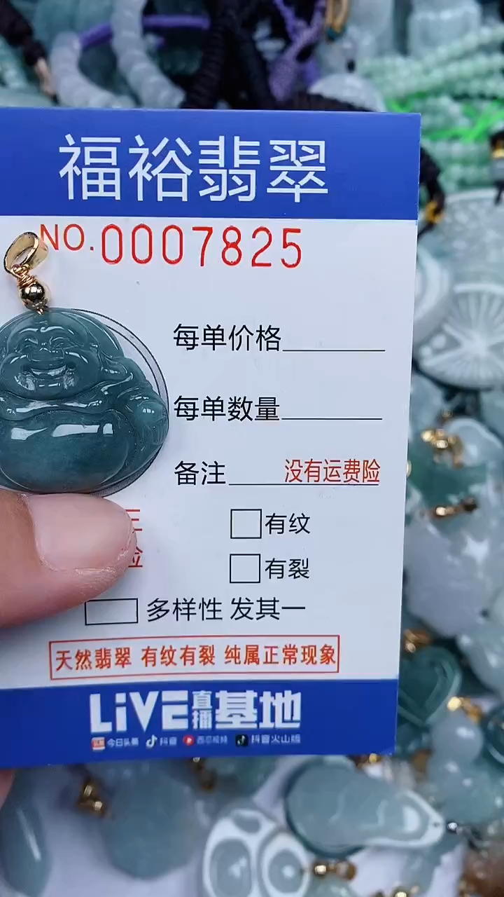 颈饰未镶嵌翡翠...0007825