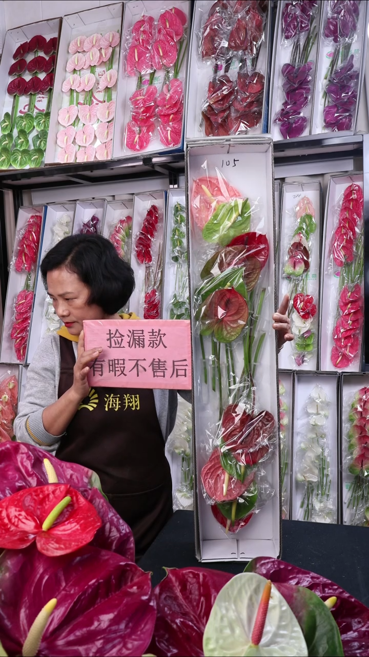 完全开放105 12枝(枝长30-40cm，横冠幅10-12cm)，福利微瑕无售后