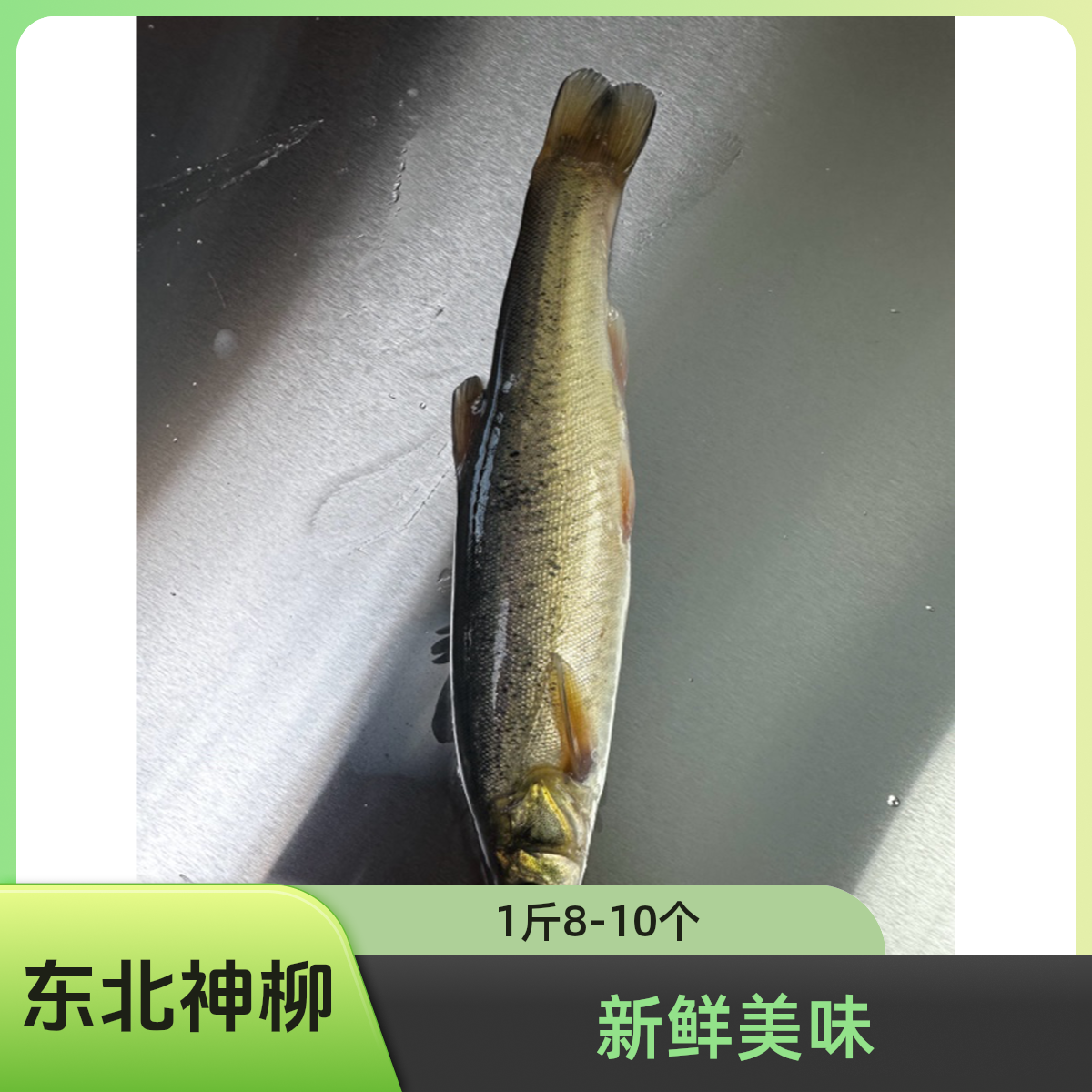 大柳根东北神柳冷水鱼(1斤8-10个头）冷链锁鲜发货