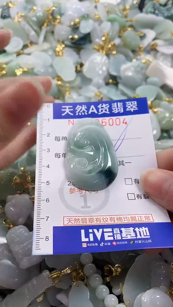 颈饰未镶嵌翡翠纯天然a货翡翠